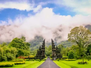 Open Trip | Day & Night Tour